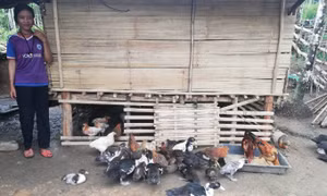 Quảng Ngãi triển khai mô hình dinh dưỡng không còn nạn đói 