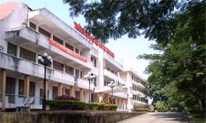 Nâng cao chất lượng đào tạo nguồn nhân lực cho vùng dân tộc thiểu số