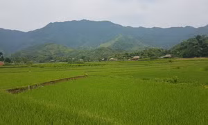 Phát huy nội lực, tạo đà xây nông thôn mới bền vững tỉnh Lào Cai