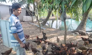 Nhiều mô hình chuyển đổi sản xuất nông nghiệp hiệu quả giúp đồng bào Khmer ở Sóc Trăng thoát nghèo bền vững. Nguồn: baodantoc.vn