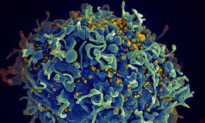 Bắt đầu thử nghiệm ở người vaccine ngừa HIV sử dụng công nghệ mRNA