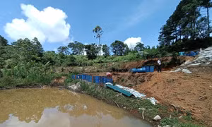 Lâm Đồng đầu tư hơn 300 tỷ đồng thực hiện Đề án quản lý đất đai có nguồn gốc từ các nông, lâm trường