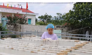 Mô hình phát triển nghề nông thôn phục vụ xóa đói giảm nghèo của HTX mỳ bún khô Tiến Diện, xã Tràng Xá (huyện Võ Nhai). Ảnh: Hoàng Nguyên - TTXVN