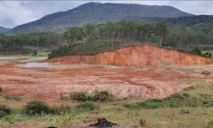 Tăng cường hệ sinh thái, cải thiện sinh kế cho nhóm người dân tộc thiểu số và phụ nữ tại Lâm Đồng