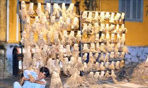 ”Độc”, lạ - nghề điêu khắc trên gốc tre ở phố cổ Hội An 