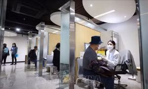 Vaccine cúm cũng có khả năng ngừa virus SARS-CoV-2