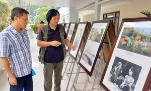 Nghệ sỹ các vùng Kinh đô Việt Nam hướng về cội nguồn 