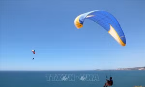 Đặc sắc bay dù lượn mạo hiểm tại Bình Thuận