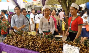 Hòa Bình xuất khẩu lô nhãn Sơn Thủy đầu tiên sang châu Âu 