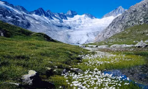 Tuyết trên đỉnh Alps biểu tượng đang nhường chỗ cho cây xanh