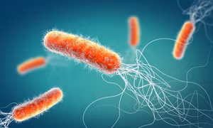 Phát hiện nhiều loại vi khuẩn có chứa gene kháng kháng sinh tại Nam Cực