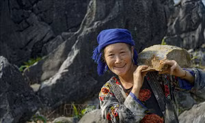 Cuộc sống người dân Tả phìn gắn bó với đá. Ảnh: Xuân Tư - TTXVN