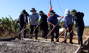 Xây dựng nông thôn mới trở thành phong trào rộng khắp ở Kon Tum