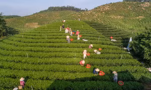 Xã Văn Hán đi sau về trước trong xây dựng nông thôn mới nâng cao