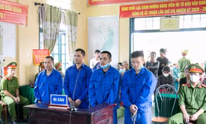 Tuyên án tử hình ba đối tượng vận chuyển trái phép hơn 6kg ma túy