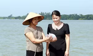 Những phụ nữ vượt khó làm giàu ở Nam Định