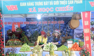 Mường La (Sơn La) hướng tới nông nghiệp bền vững