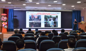 Quang cảnh Hội nghị. Ảnh: Đinh Hằng – TTXVN