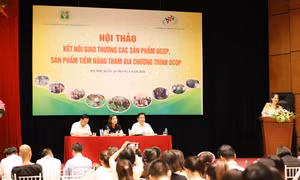 Hà Nội tổ chức Hội thảo kết nối giao thương sản phẩm OCOP năm 2020