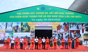 Hà Nội tổ chức hội chợ trưng bày, quảng bá và kết nối giao thương sản phẩm OCOP