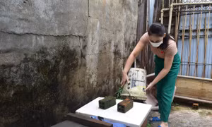 Ngành Y tế khuyến cáo người dân cần vệ sinh môi trường, nhà ở và khi có dấu hiệu của bệnh sốt xuất huyết phải đến ngay các cơ sở y tế để thăm, khám. Ảnh: Nguyên Dung – TTXVN