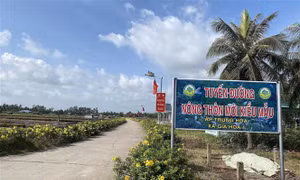 Xây dựng nông thôn mới đi vào chiều sâu, thực chất
