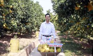 Anh Nguyễn Văn Hữu được Trung ương Hội Nông dân Việt Nam vinh danh là Nông dân Việt Nam xuất sắc năm 2023. Ảnh: Đồng Thúy – TTXVN