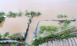 Lũ lên cao đã gây ngập úng, mang đất cát vùi lấp một số diện tích rau xanh, hoa màu các loại của người dân trồng dọc hai bên vùng thấp ven sông Hồng, đoạn chảy qua thành phố Lào Cai. Ảnh: Quốc Khánh - TTXVN