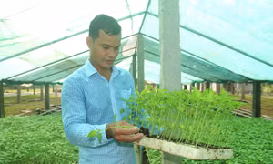 Trà Vinh tạo điều kiện tiếp cận chính sách nông nghiệp