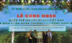 Lễ công nhận quần thể cây di sản. Ảnh: TTXVN phát