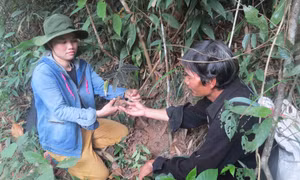 Hội thảo đẩy mạnh hoạt động bảo tồn sinh học, bảo vệ môi trường bền vững