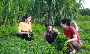 Đồng hành cùng phụ nữ vượt khó làm giàu ở Lai Châu
