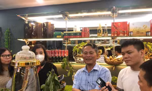 Nhận diện đúng sâm Ngọc Linh trên thị trường