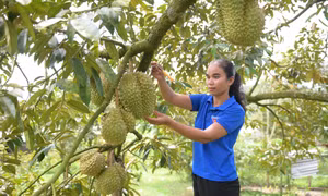 Đẩy mạnh công tác phát triển đảng viên ở vùng "khó" tỉnh Khánh Hòa
