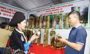 Khai mạc Hội chợ Công Thương vùng Tây Bắc - Lai Châu