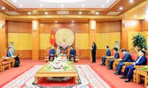 Chia sẻ kinh nghiệm, hỗ trợ tỉnh Lạng Sơn hoàn thiện hồ sơ, xây dựng Công viên địa chất toàn cầu