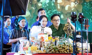 Nâng cao kỹ năng kinh doanh trên nền tảng số cho thanh niên miền núi tỉnh Sơn La
