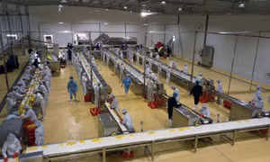 Khánh thành Trung tâm chế biến rau, quả Doveco Sơn La
