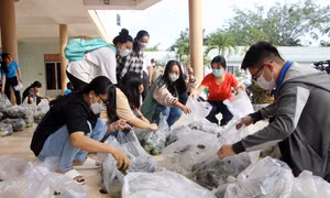 Tuổi trẻ Cần Thơ hỗ trợ nông dân tiêu thụ nông sản