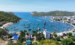 Khám phá hệ sinh thái rừng khô hạn độc đáo ở Khu Dự trữ sinh quyển thế giới Núi Chúa