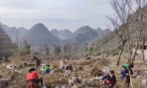 Bà con người Mông canh tác nông nghiệp trên Cao nguyên Bà con người Mông canh tác nông nghiệp trên Cao nguyên đá (Hà Giang). Ảnh: baodantoc.vn