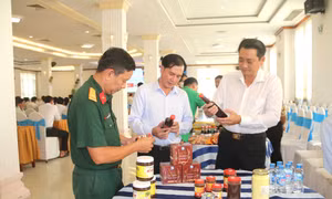 Trà Vinh phát triển sản phẩm OCOP 