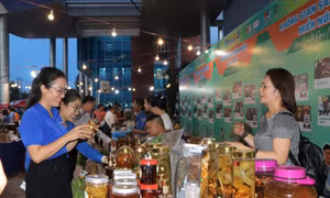 Phiên chợ kết nối sản phẩm của đồng bào dân tộc miền núi tới người tiêu dùng Quảng Ngãi