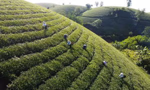 Phấn đấu đến 2030, Phú Thọ là tỉnh phát triển hàng đầu vùng trung du và miền núi phía Bắc