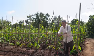 Kon Tum tôn vinh hai cá nhân hiến đất làm đường
