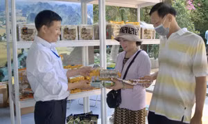 Khai mạc Tuần lễ sản phẩm OCOP và sản phẩm đặc trưng các vùng, miền năm 2023