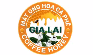 Cấp giấy chứng nhận đăng ký cho nhãn hiệu “Mật ong hoa cà phê Gia Lai - Coffee honey”