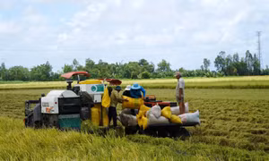Đồng bào Khmer Kiên Giang vươn lên từ các chính sách dân tộc