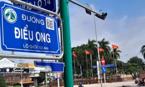 Phê duyệt Quy hoạch tỉnh Bình Phước thời kỳ 2021 – 2030, tầm nhìn đến năm 2050
