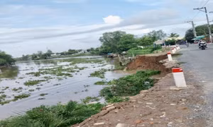 An Giang: Hỗ trợ di dời 8 hộ dân bị ảnh hưởng bởi sạt lở bờ kênh
